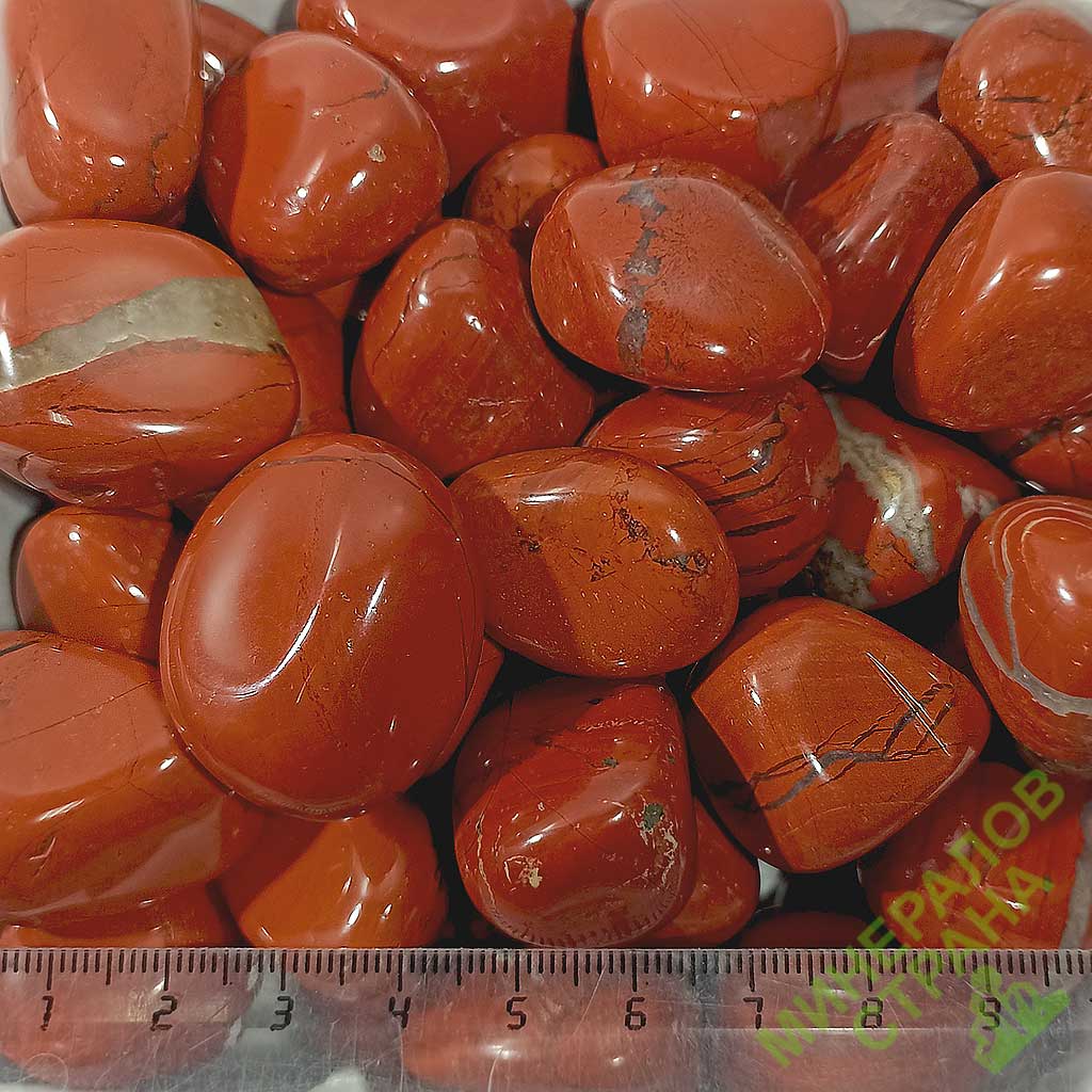 Card image cap